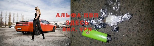 прущие грибы Киреевск