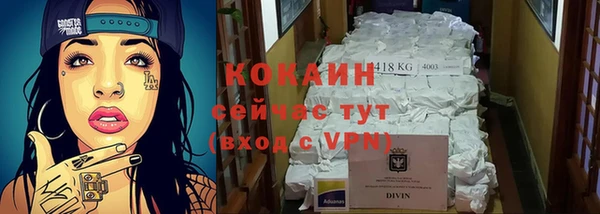 прущие грибы Киреевск