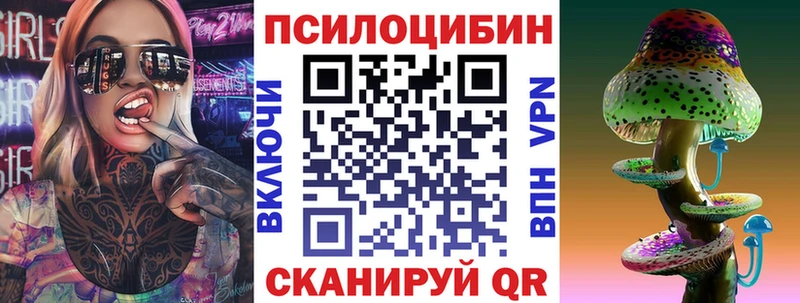 Купить где  Оленегорск  Галлюциногенные грибы Psilocybine cubensis 
